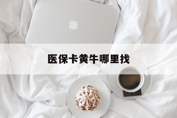 嘉兴最新医保卡黄牛哪里找方法分析(最方便真实的嘉兴医保卡的事情去哪里咨询方法)